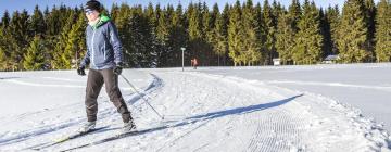 Thüringer Wintersportzentrum Oberhof: Hotels in der Nähe