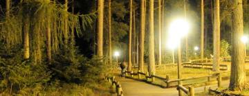 윈펠 숲 주변 호텔