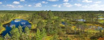 Hotele w pobliżu miejsca Park Narodowy Lahemaa