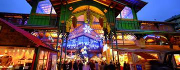 Hotels near Montreux Christmas Market