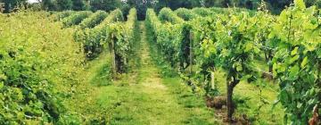 Hotels near Denbies Wine Estate