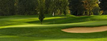愛維養大師高爾夫俱樂部（Evian Masters Golf Club）附近的飯店