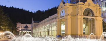 Hotels near The Singing Fountain