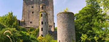 Blarney Castle – hotely v okolí