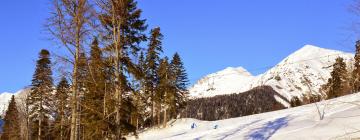 Hôtels près de : Station de ski de Rosa Khutor