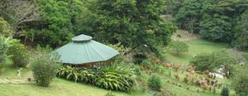 Biologická rezervácia Monteverde Cloud Forest – hotely v okolí