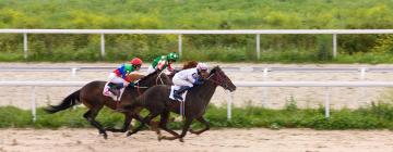 Hotels near Chepstow Racecourse