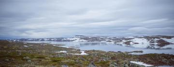 Hardangervidos nacionalinis parkas: viešbučiai netoliese
