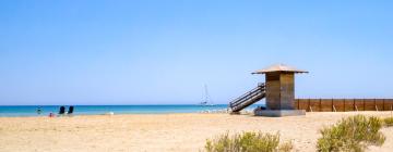 Hotels near Lady's Mile Beach