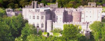 St Donat's Castle: Hotels in der Nähe