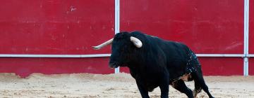 Hotel berdekatan dengan Ávila Bullring