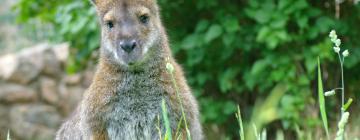 Hotéis perto de Zoológico da Cidade de Oklahoma