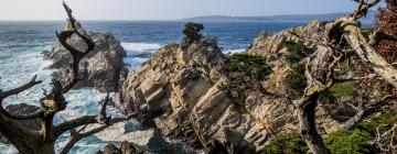 Viesnīcas netālu no apskates objekta Valsts rezervāts Point Lobos