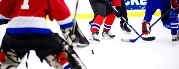 Hoteles cerca de Canadian Tire Centre