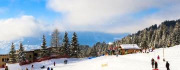 Hôtels près de : Téléski de Villars Palace