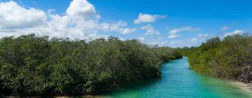 Hotéis perto de: Reserva da Biosfera de Sian Ka'an