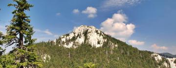 Hoteles cerca de Parque Nacional Sjeverni Velebit