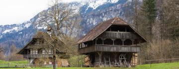 Mga hotel malapit sa Freilichtmuseum Ballenberg