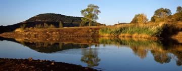 Hoteles cerca de Lago del Salagou