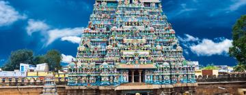 Sri Ranganathaswamy-Tempel: Hotels in der Nähe