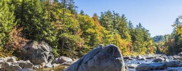 White Mountain National Forest: Hotels in der Nähe