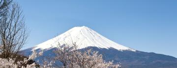 Mounte Fuji: hotel