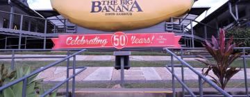 Big Banana -huvipuisto – hotellit lähistöllä
