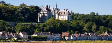 Hoteller i nærheden af Chateau de Chaumont sur Loire