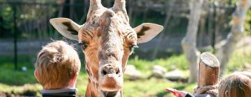 샤이엔 산 동물원 주변 호텔