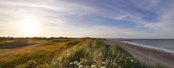 Hoteles cerca de Rosslare Strand