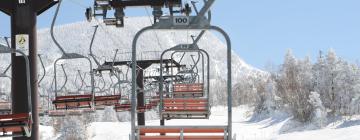 Hotels near La Petite Mauselaine Ski Lift