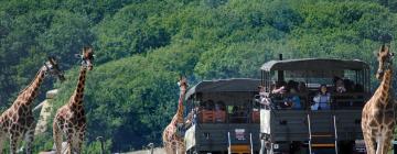 Hotels near Port Lympne Wild Animal Park