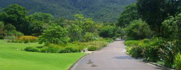 Hotels in de buurt van nationale botanische tuin Kirstenbosch