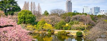 Ξενοδοχεία κοντά σε Εθνικός Κήπος Shinjuku Gyoen