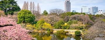 Hotels near Shinjuku Gyoen National Garden