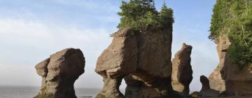 Hotels near Hopewell Rocks Park