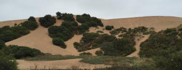 Concon Sand Dunes: отели поблизости