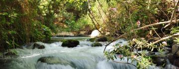 Riserva Naturale di Banias - Fiume Hermon: hotel