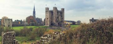 Hoteller nær Trim Castle