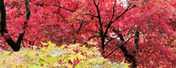 Hotel berdekatan dengan Westonbirt Arboretum