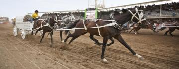 Calgary Stampede -rodeo – hotellit lähistöllä