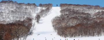 安比高原滑雪度假村（Appi Kogen ski resort）附近的飯店