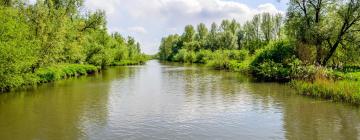 De Biesbosch Milli Parkı yakınındaki oteller