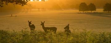 Hotels near Richmond Park