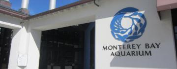 Monterey Bay Aquarium: Hotels in der Nähe