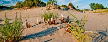 Provinčný park Sandbanks – hotely v okolí