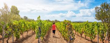 Sumaridge Wine Farm: отели поблизости