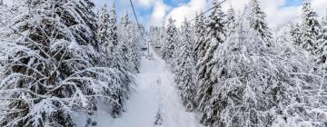 Skilift Smolyan Lakes - Snezhanka: Hotels in der Nähe