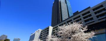 Tokyo Midtown -pilvenpiirtäjä – hotellit lähistöllä