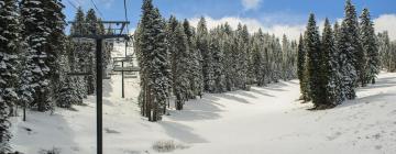 Northstar at Tahoe Resort: hotel